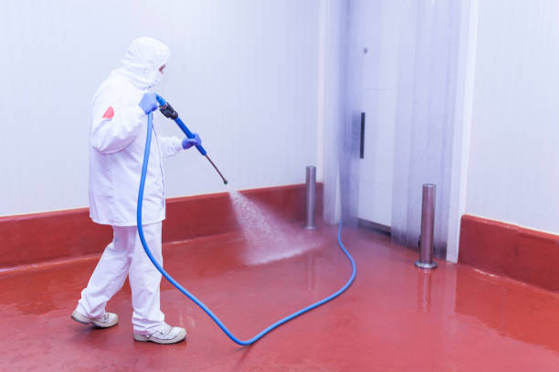 Best Patio and Deck Pressure Washing  in Hamlet, NC